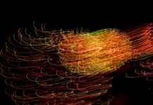 Supply chain management software