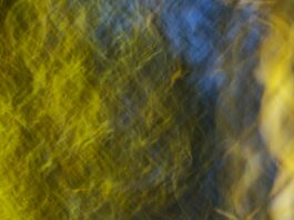 Fashion clothing line