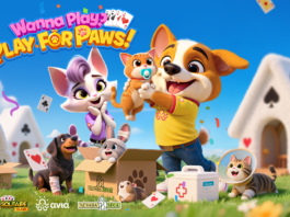 Solitaire Clash and Bingo