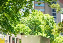 When Renting a Truck Is More Cost-Effective Than Hiring Movers moving truck